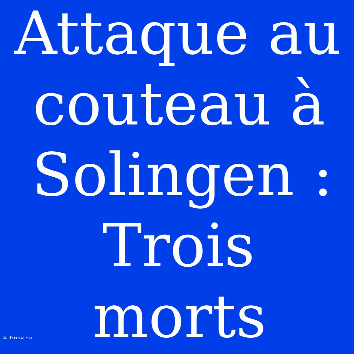 Attaque Au Couteau À Solingen : Trois Morts