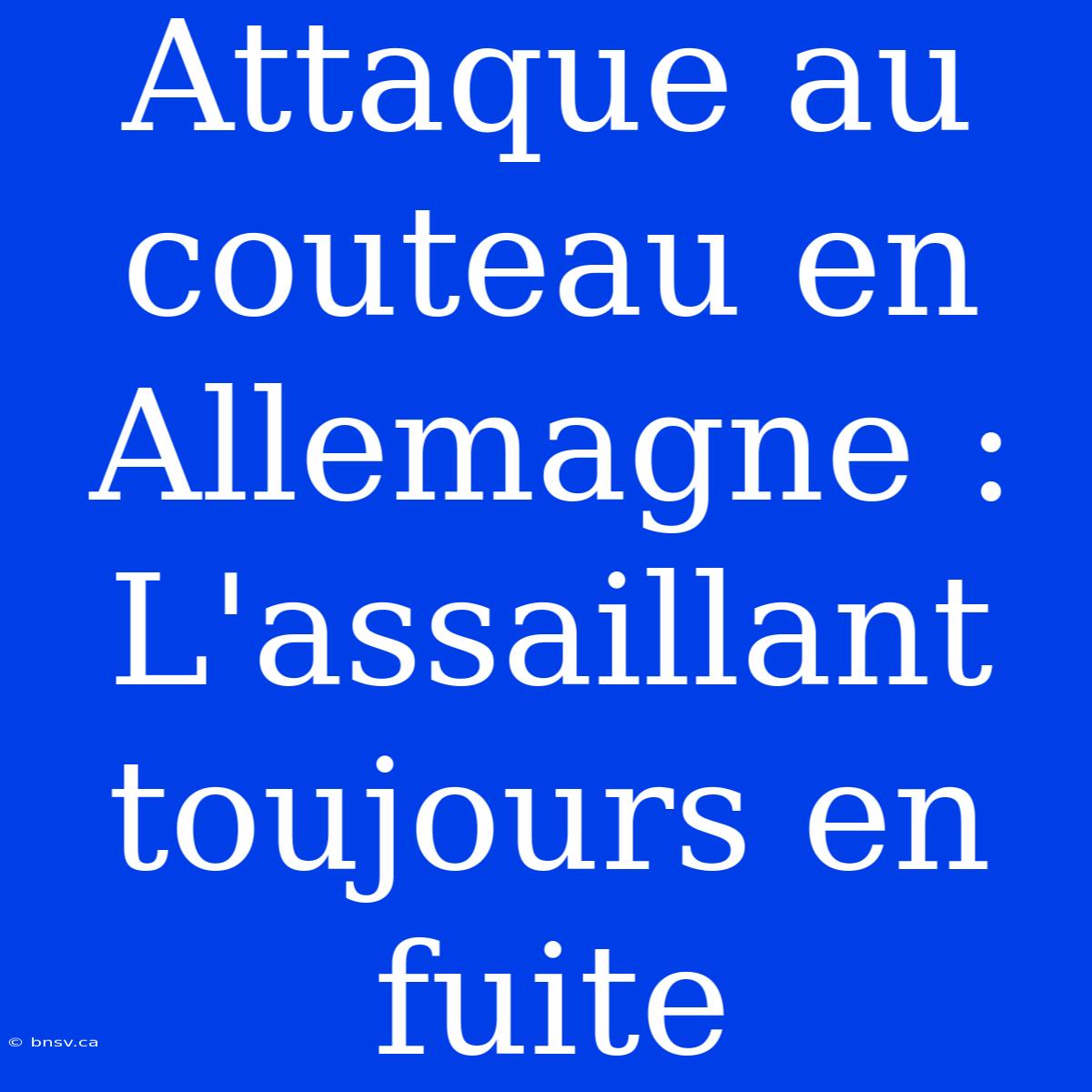 Attaque Au Couteau En Allemagne : L'assaillant Toujours En Fuite