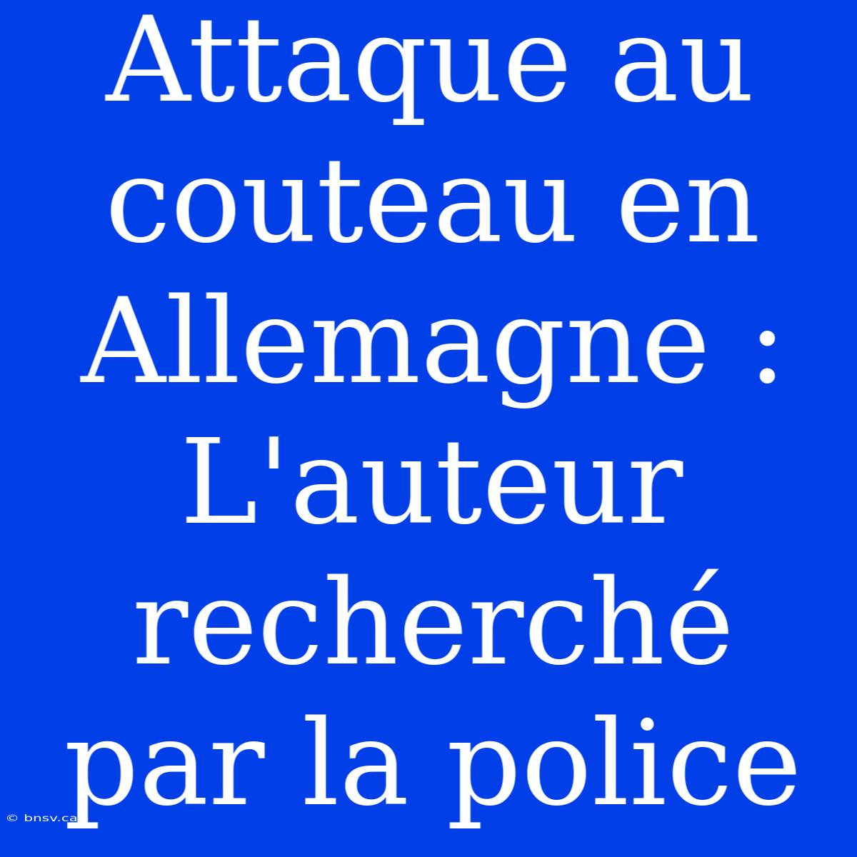 Attaque Au Couteau En Allemagne : L'auteur Recherché Par La Police