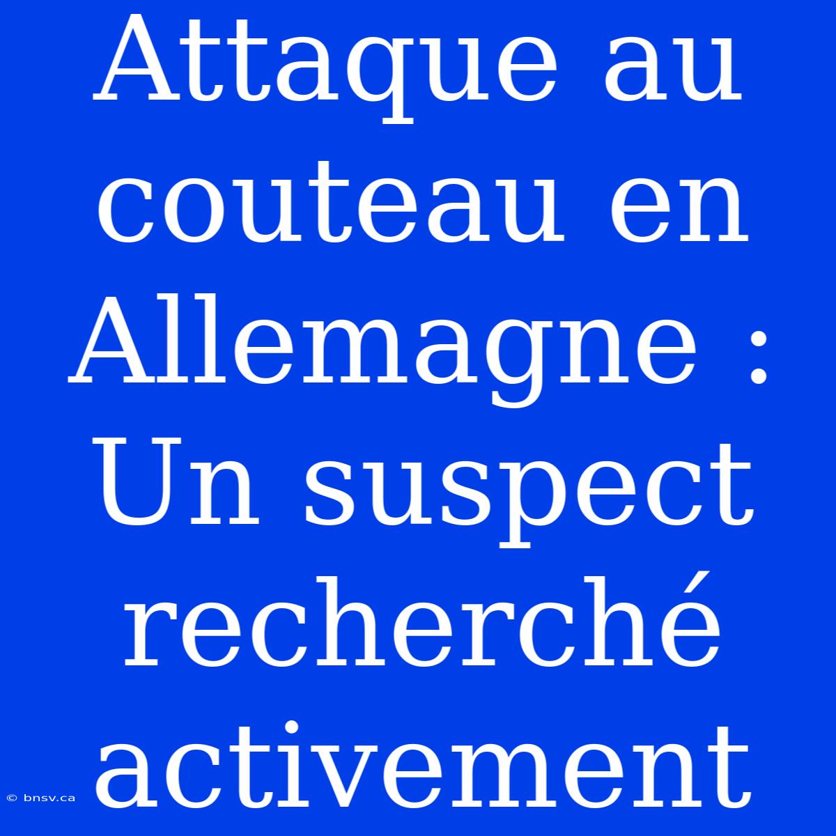 Attaque Au Couteau En Allemagne : Un Suspect Recherché Activement