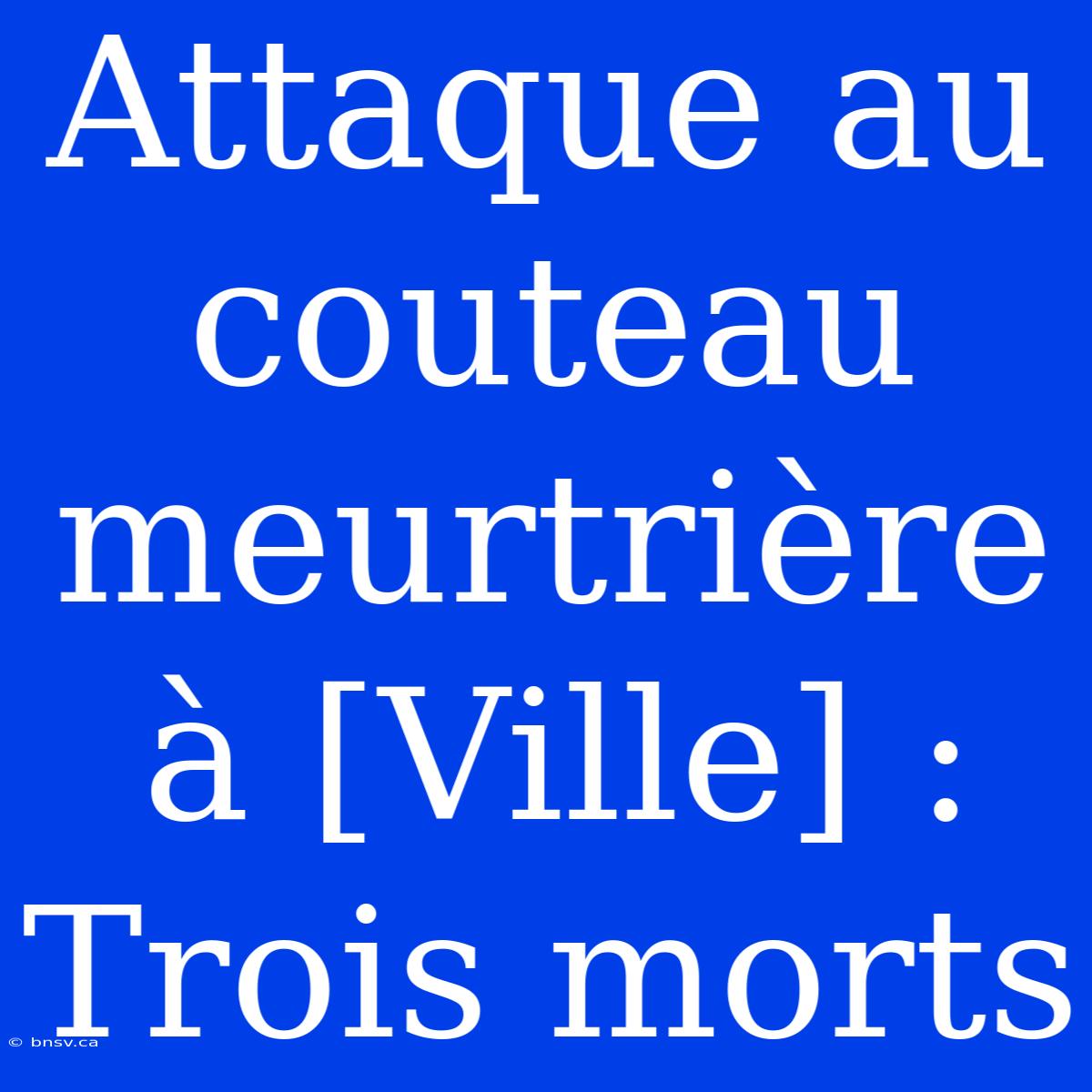 Attaque Au Couteau Meurtrière À [Ville] : Trois Morts