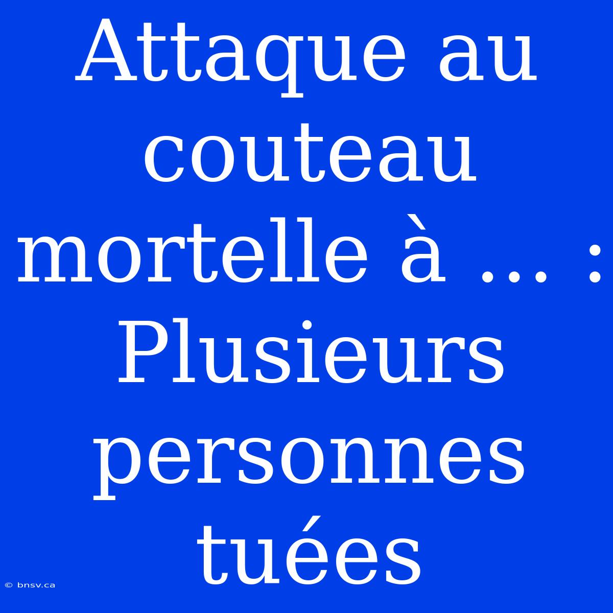 Attaque Au Couteau Mortelle À ... : Plusieurs Personnes Tuées