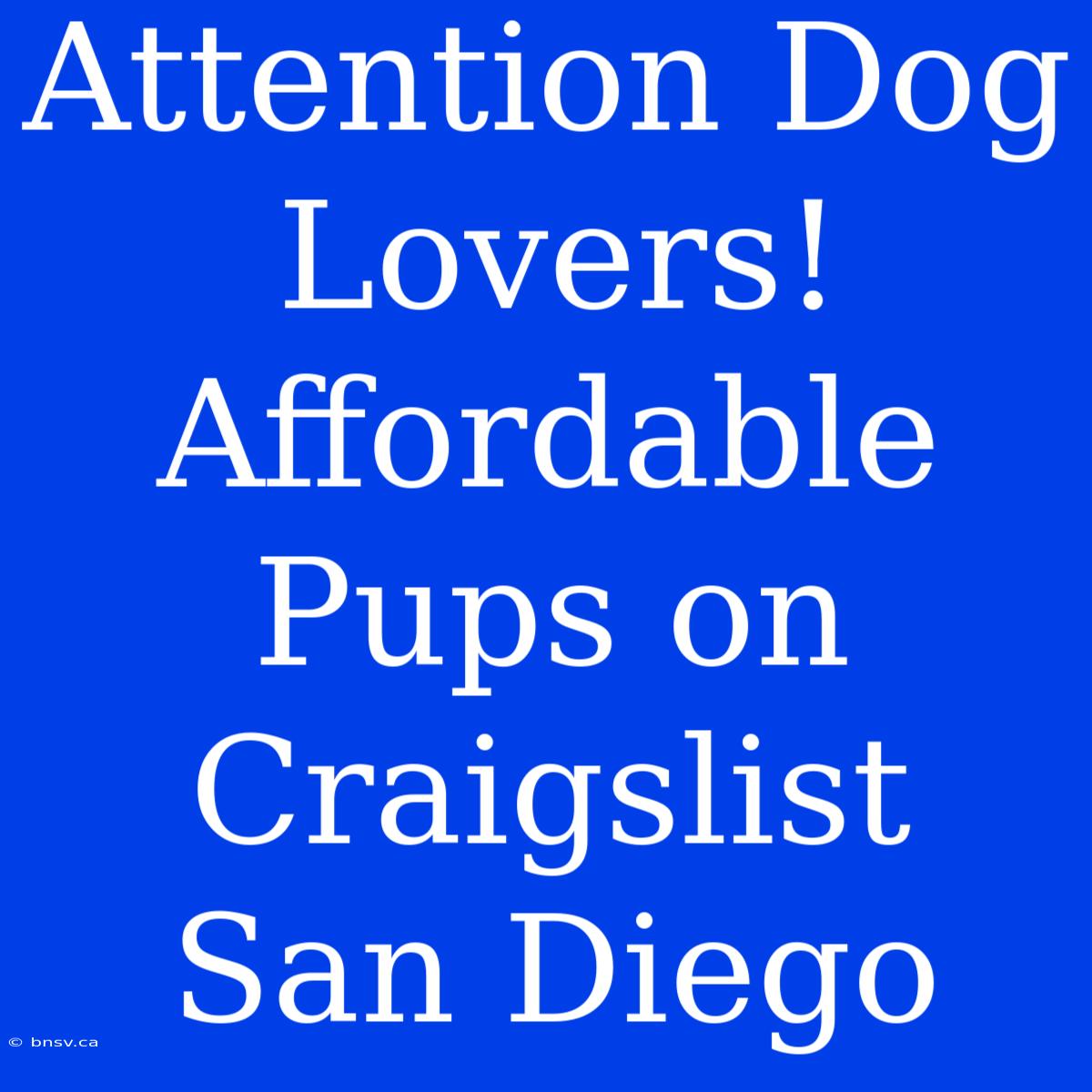 Attention Dog Lovers! Affordable Pups On Craigslist San Diego