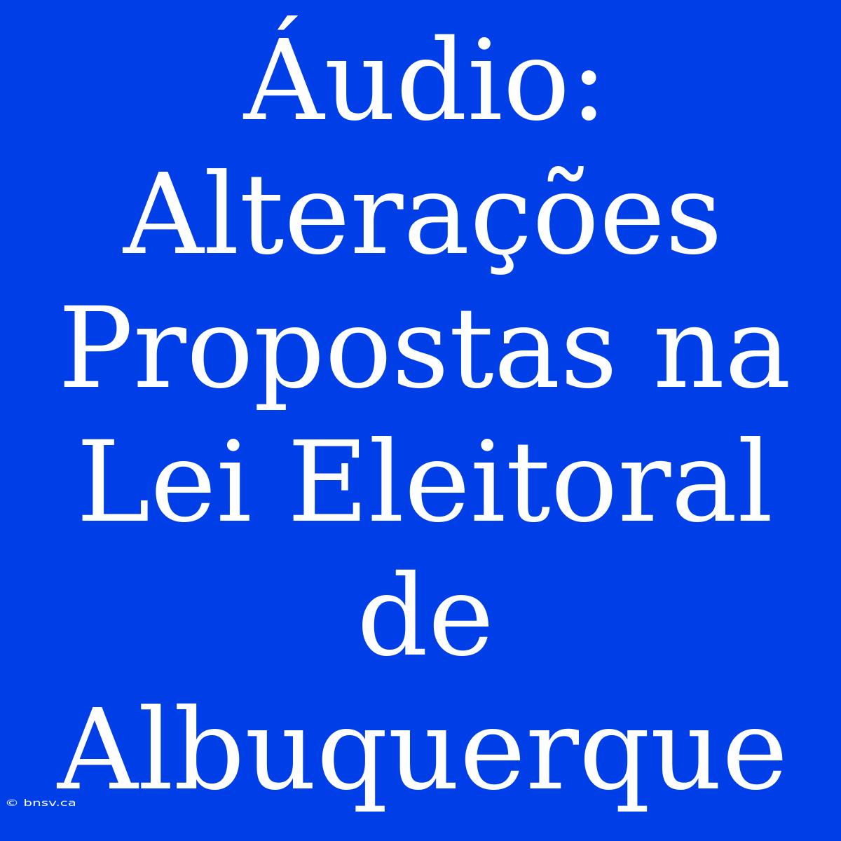 Áudio: Alterações Propostas Na Lei Eleitoral De Albuquerque