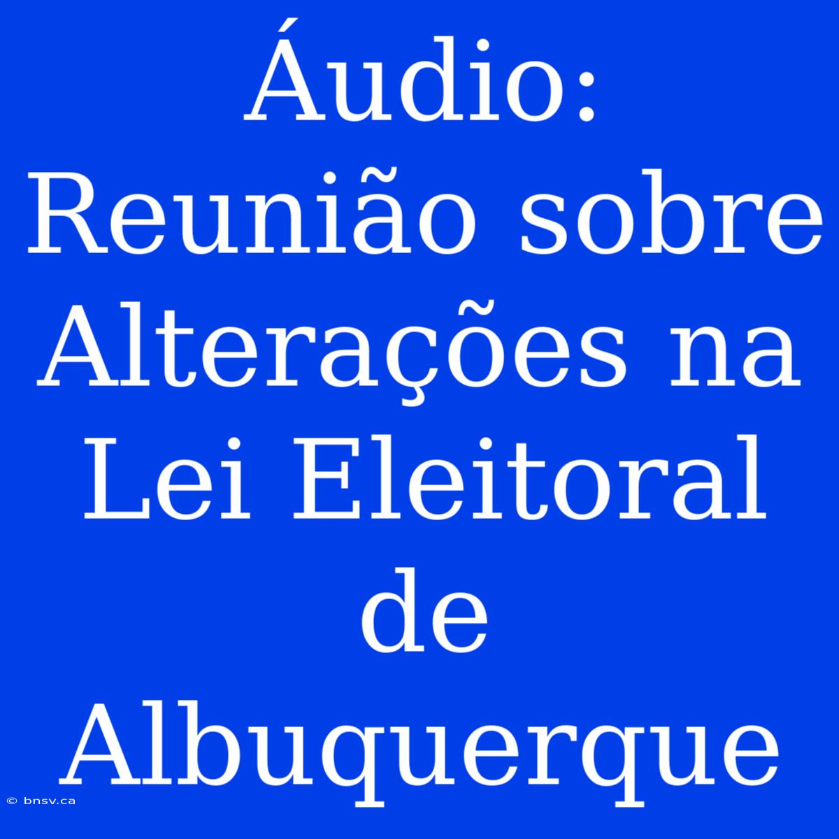 Áudio: Reunião Sobre Alterações Na Lei Eleitoral De Albuquerque