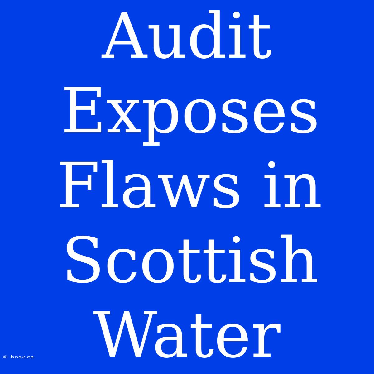 Audit Exposes Flaws In Scottish Water