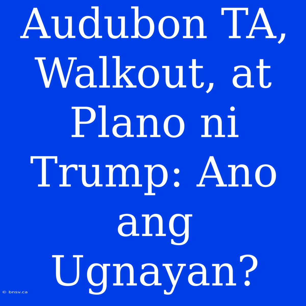 Audubon TA, Walkout, At Plano Ni Trump: Ano Ang Ugnayan?