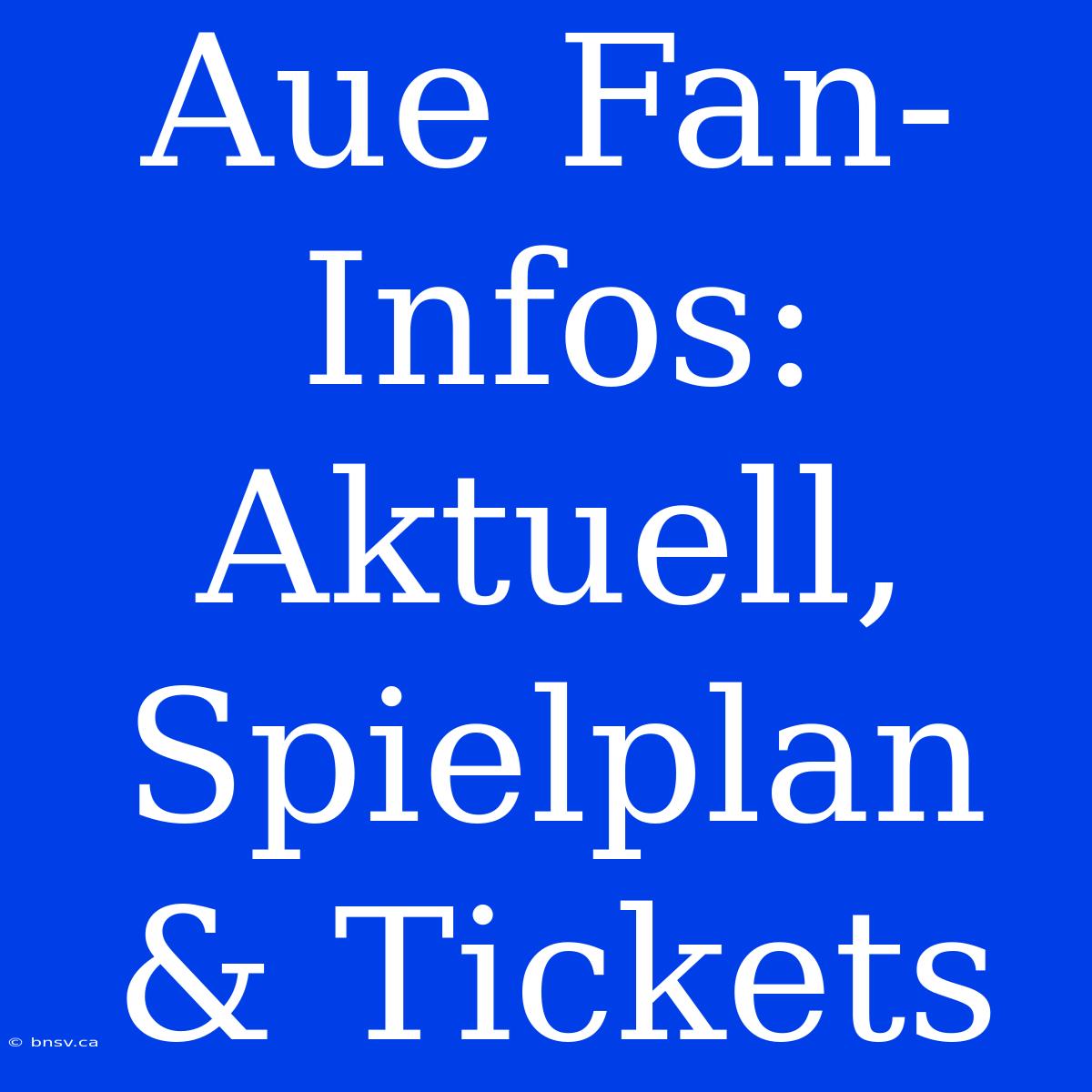 Aue Fan-Infos: Aktuell, Spielplan & Tickets