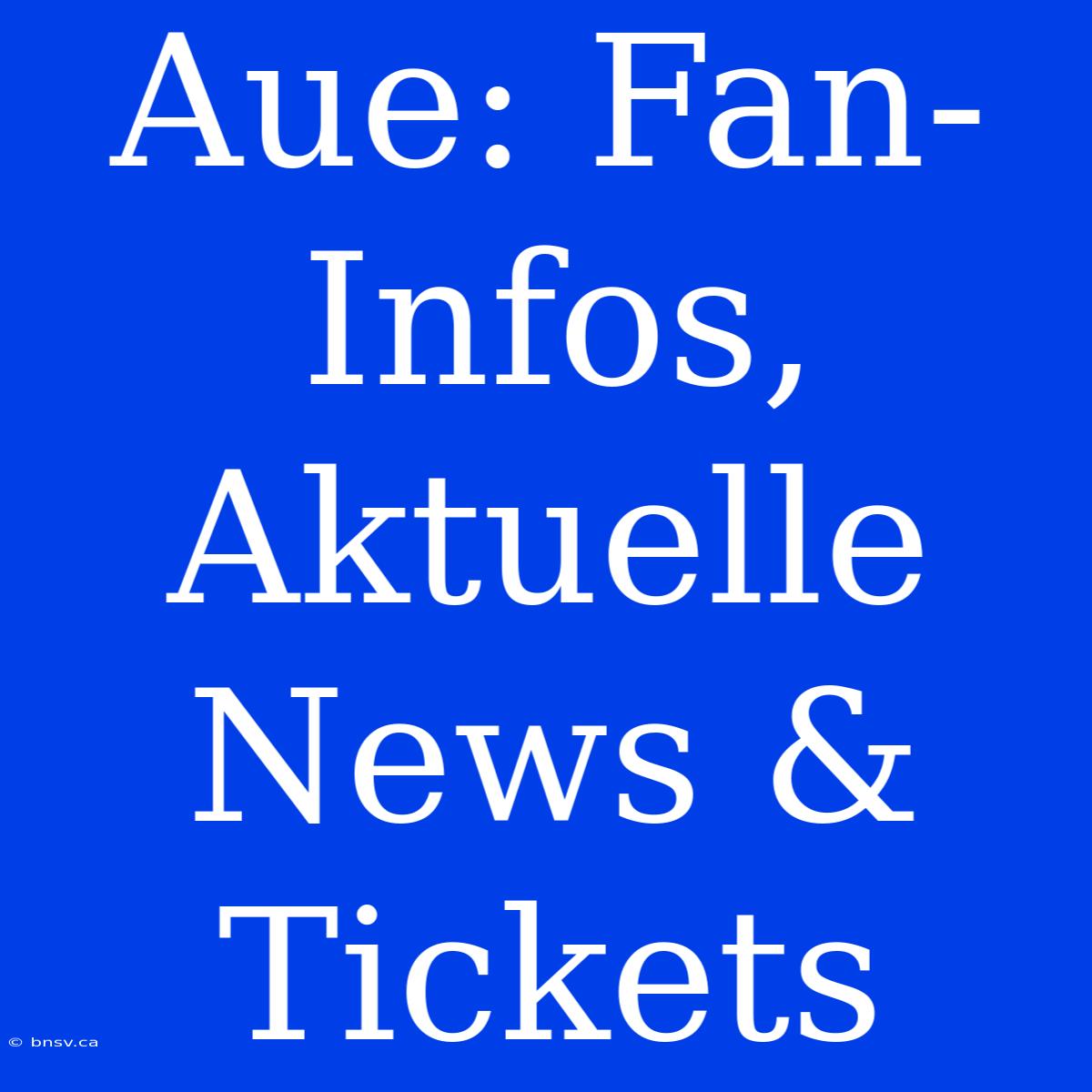 Aue: Fan-Infos, Aktuelle News & Tickets