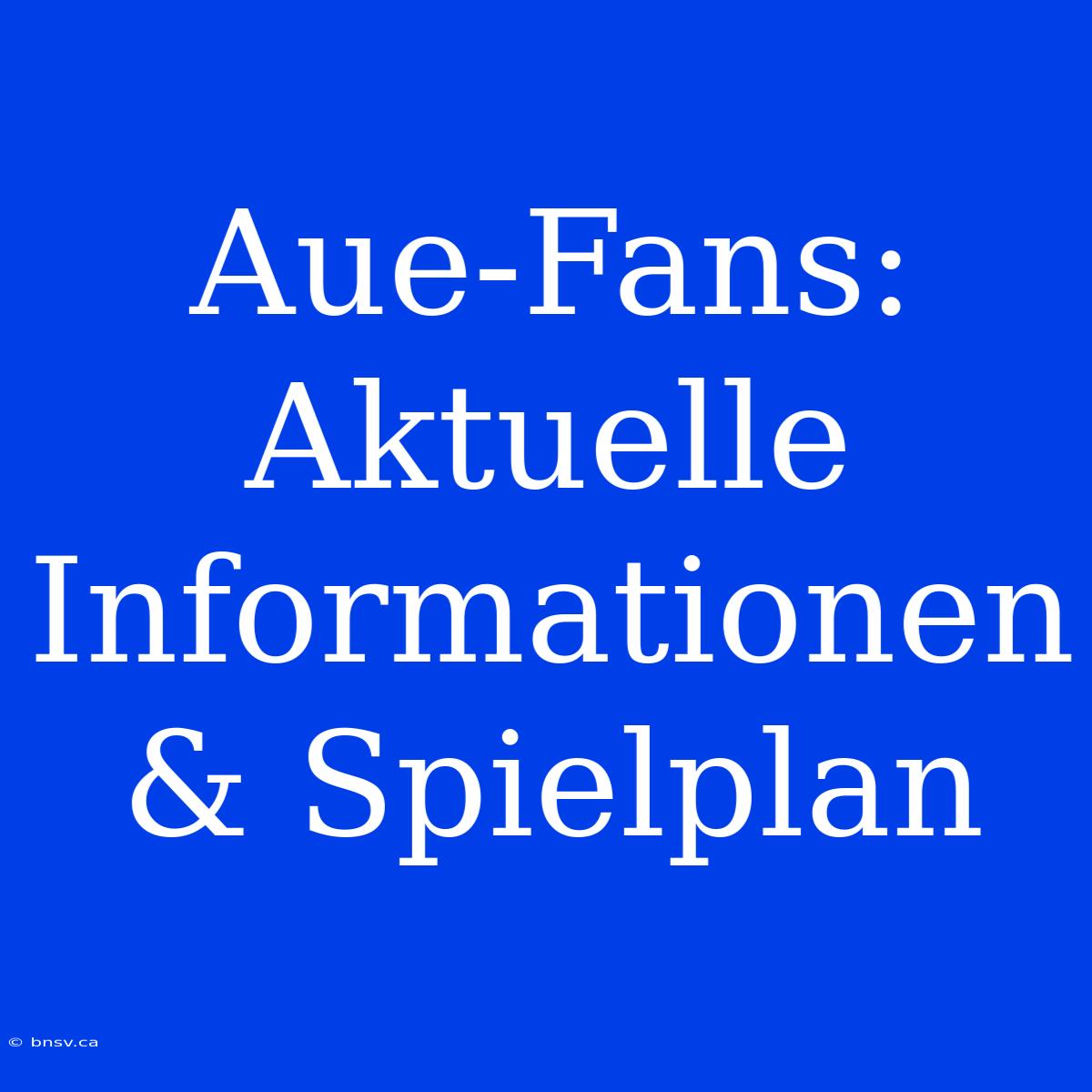 Aue-Fans: Aktuelle Informationen & Spielplan