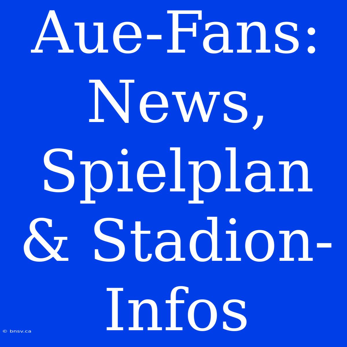 Aue-Fans: News, Spielplan & Stadion-Infos