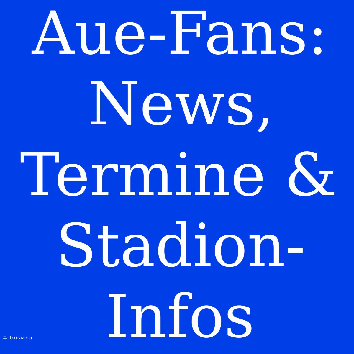 Aue-Fans: News, Termine & Stadion-Infos