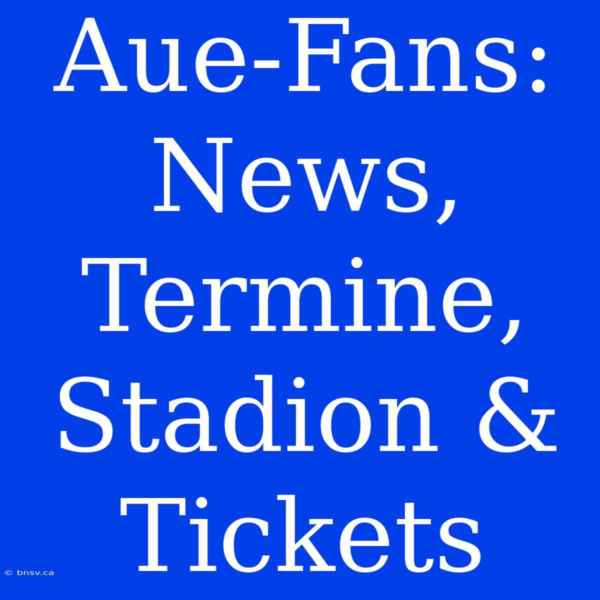 Aue-Fans: News, Termine, Stadion & Tickets