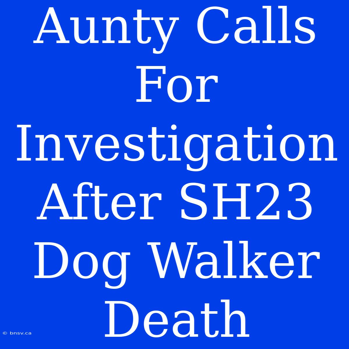 Aunty Calls For Investigation After SH23 Dog Walker Death