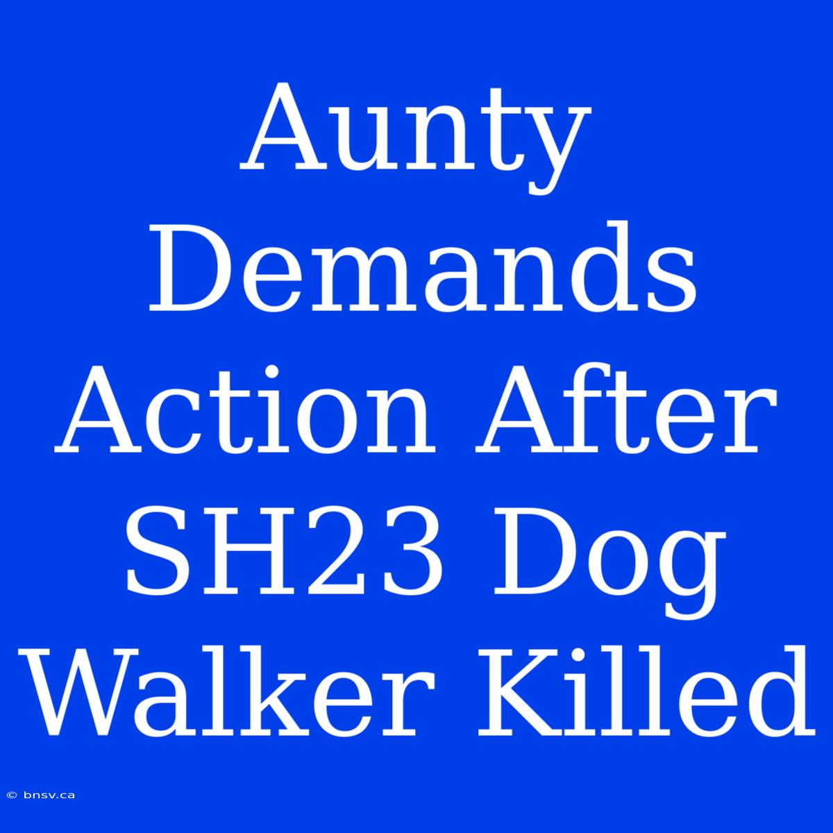 Aunty Demands Action After SH23 Dog Walker Killed