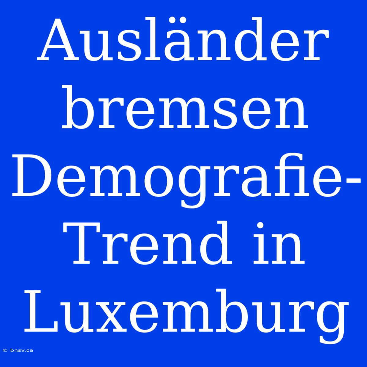 Ausländer Bremsen Demografie-Trend In Luxemburg