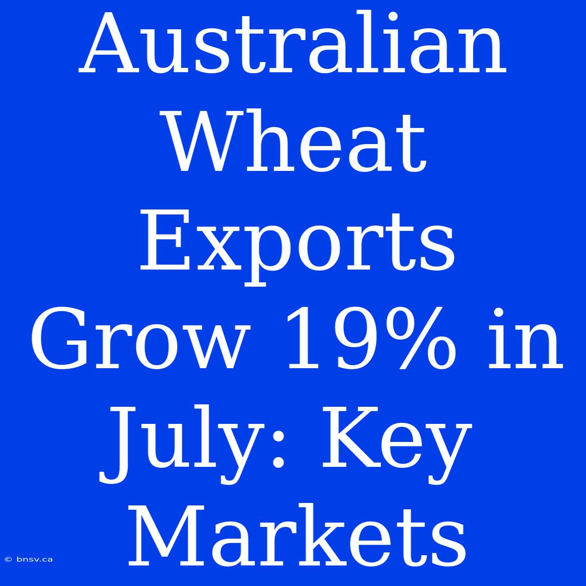 Australian Wheat Exports Grow 19% In July: Key Markets