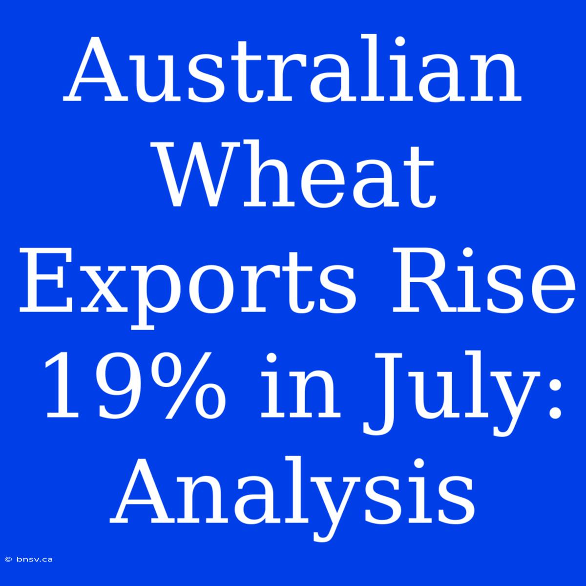 Australian Wheat Exports Rise 19% In July: Analysis