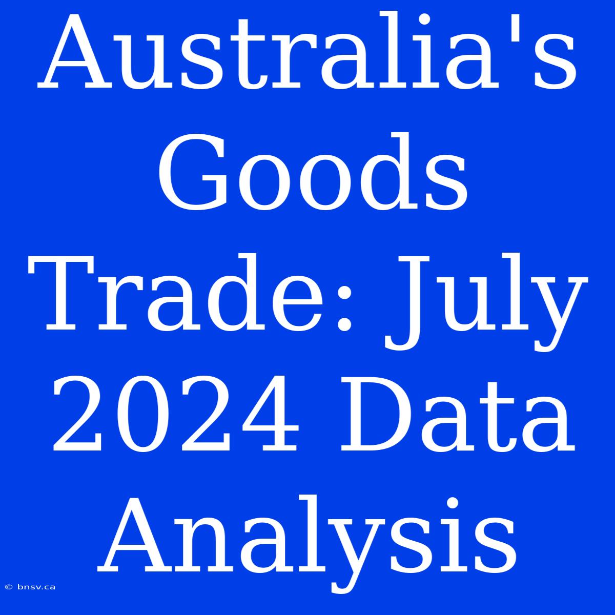 Australia's Goods Trade: July 2024 Data Analysis