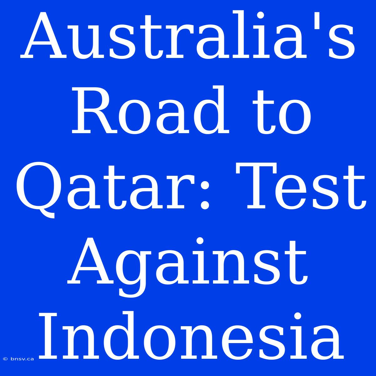 Australia's Road To Qatar: Test Against Indonesia