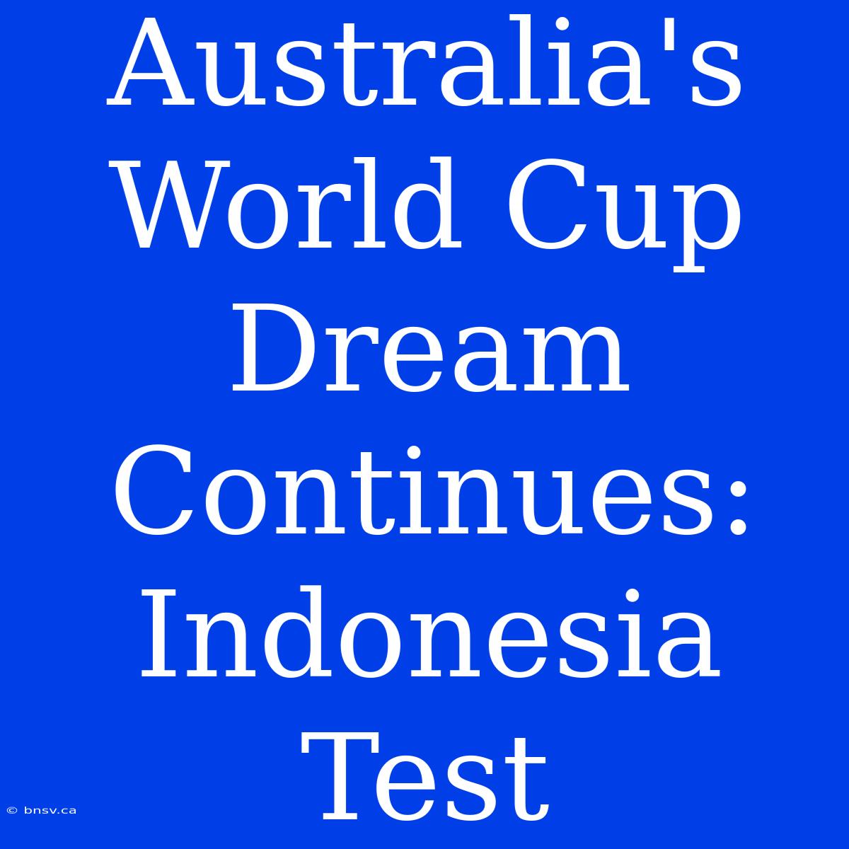 Australia's World Cup Dream Continues: Indonesia Test