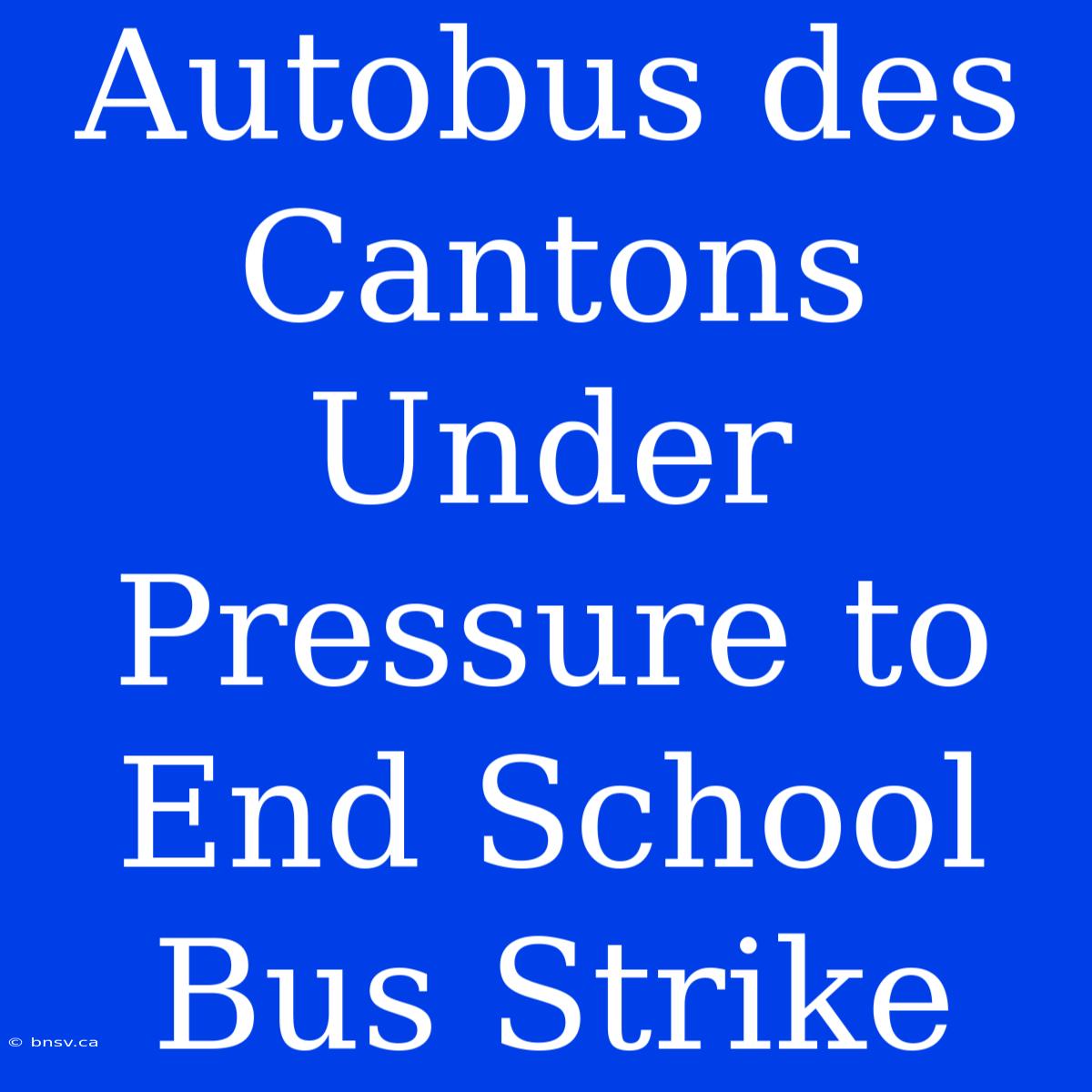 Autobus Des Cantons Under Pressure To End School Bus Strike