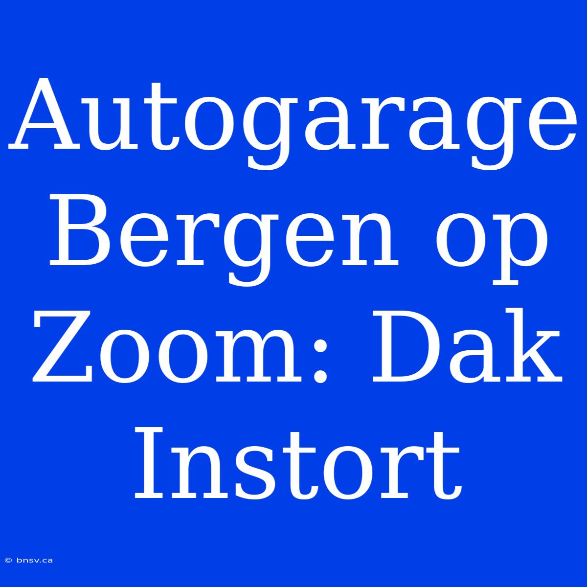 Autogarage Bergen Op Zoom: Dak Instort