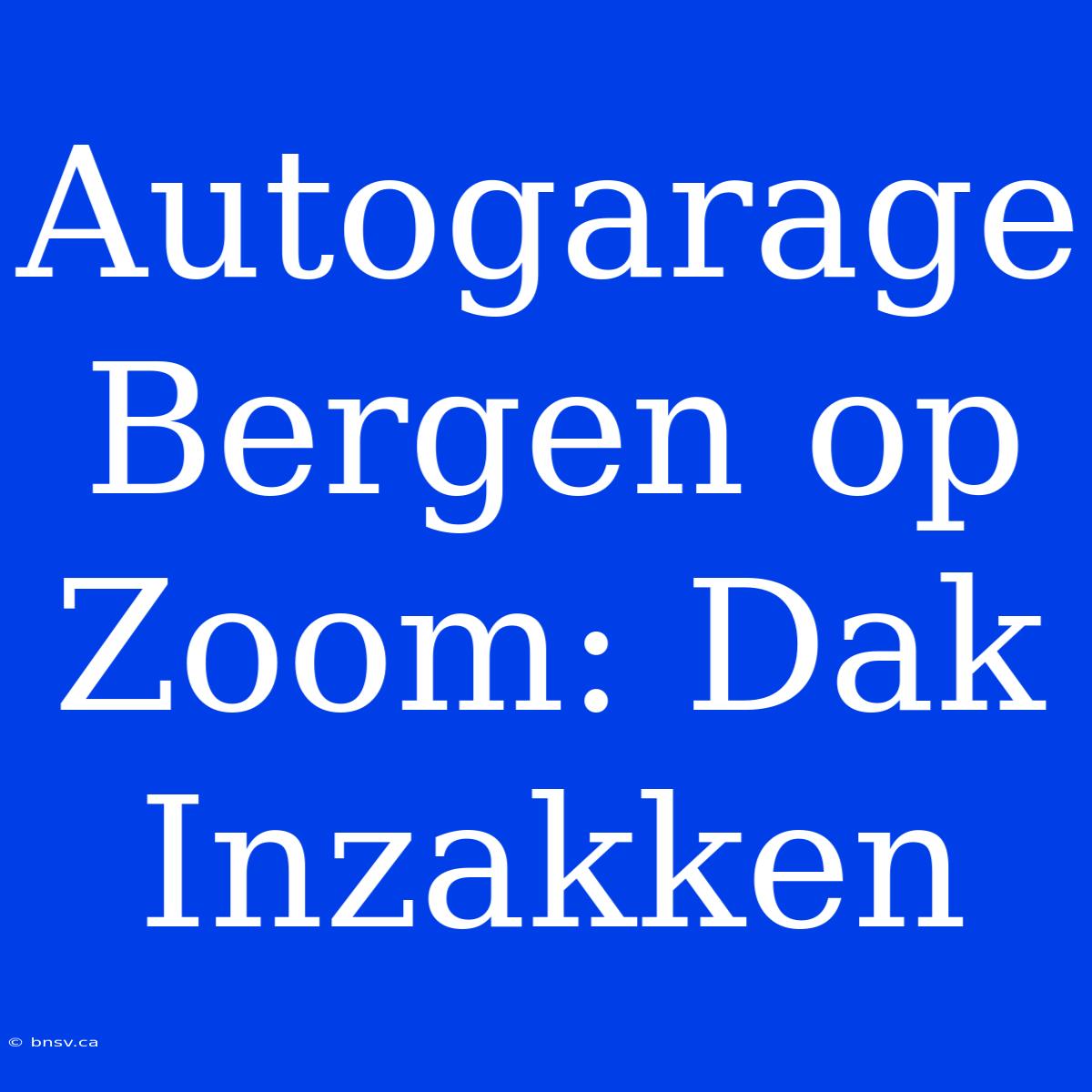 Autogarage Bergen Op Zoom: Dak Inzakken