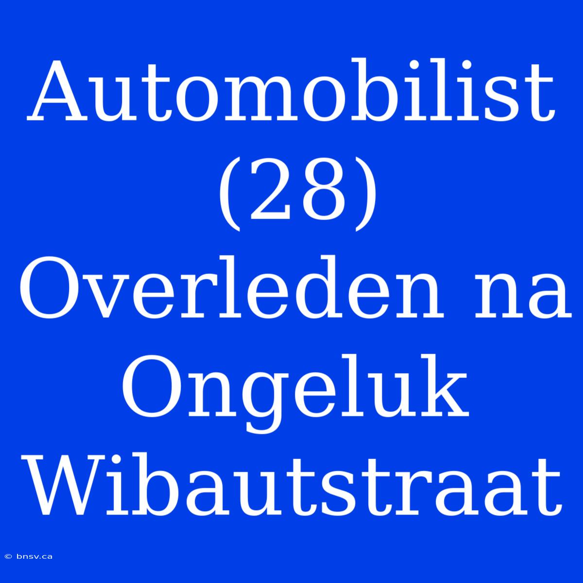 Automobilist (28) Overleden Na Ongeluk Wibautstraat