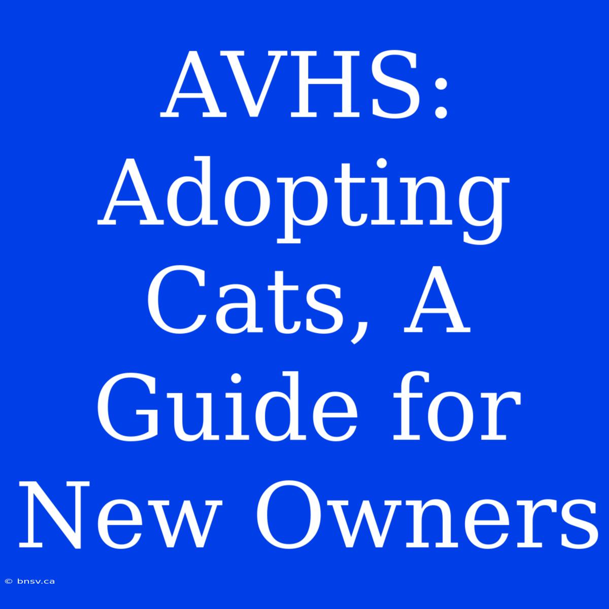 AVHS: Adopting Cats, A Guide For New Owners