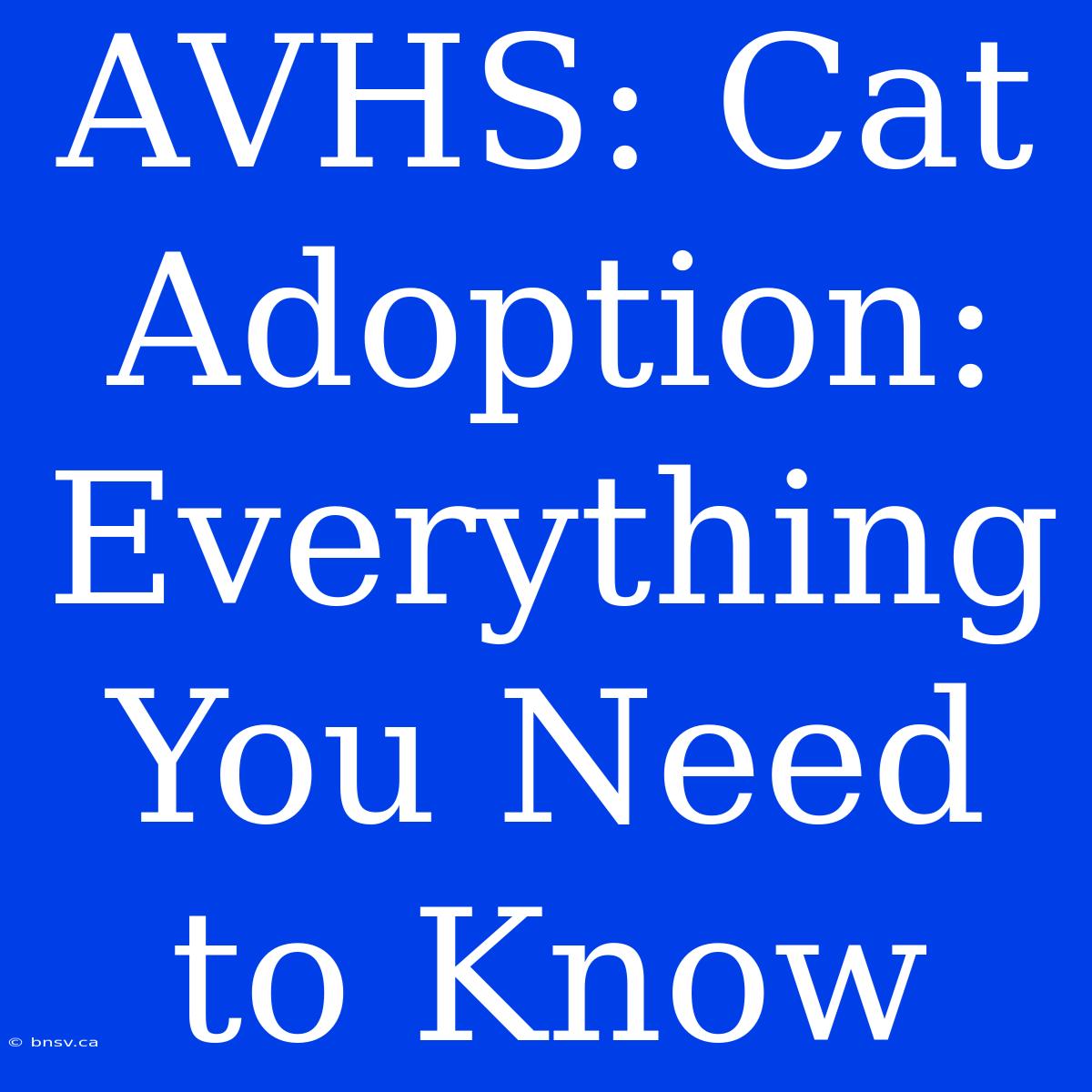 AVHS: Cat Adoption: Everything You Need To Know