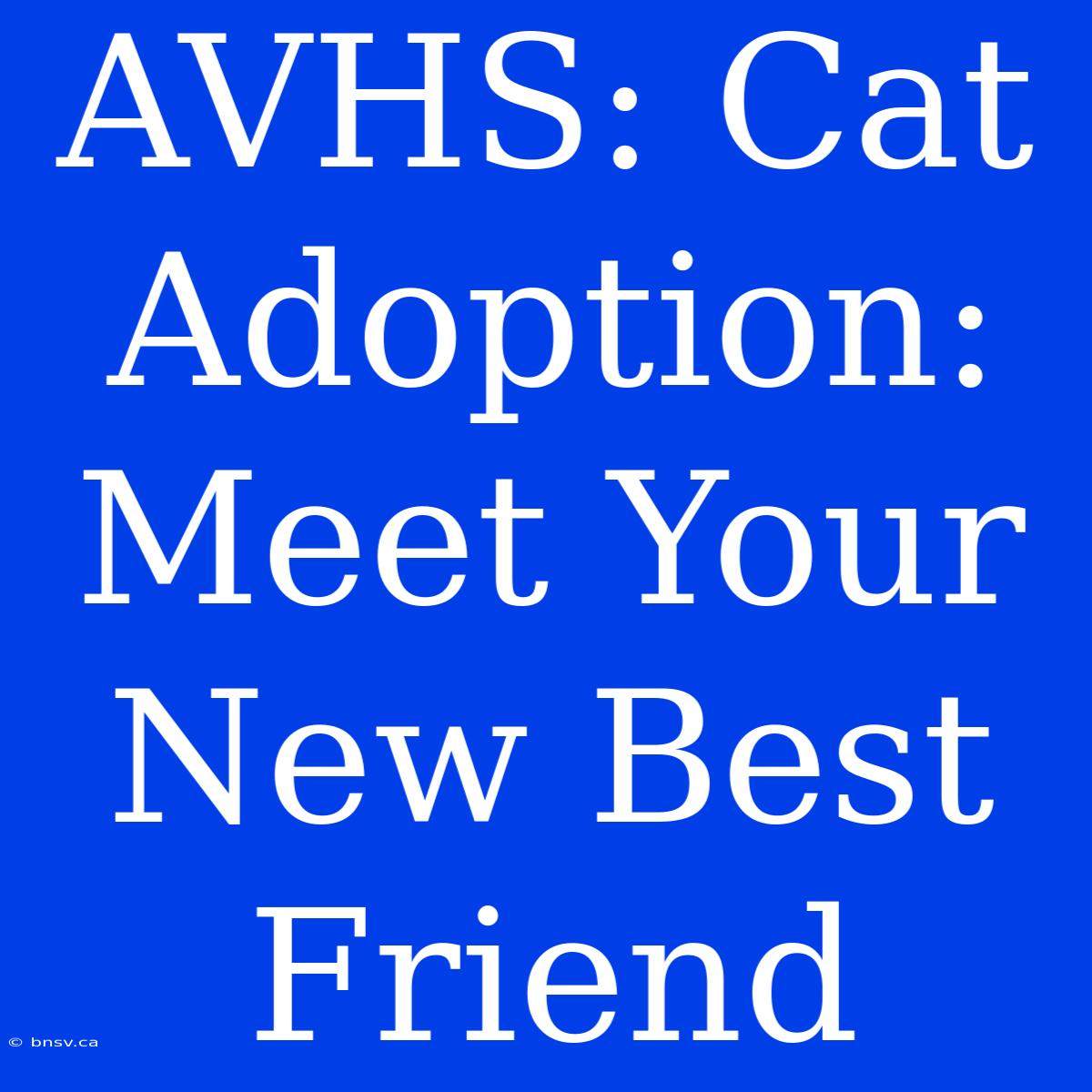 AVHS: Cat Adoption: Meet Your New Best Friend