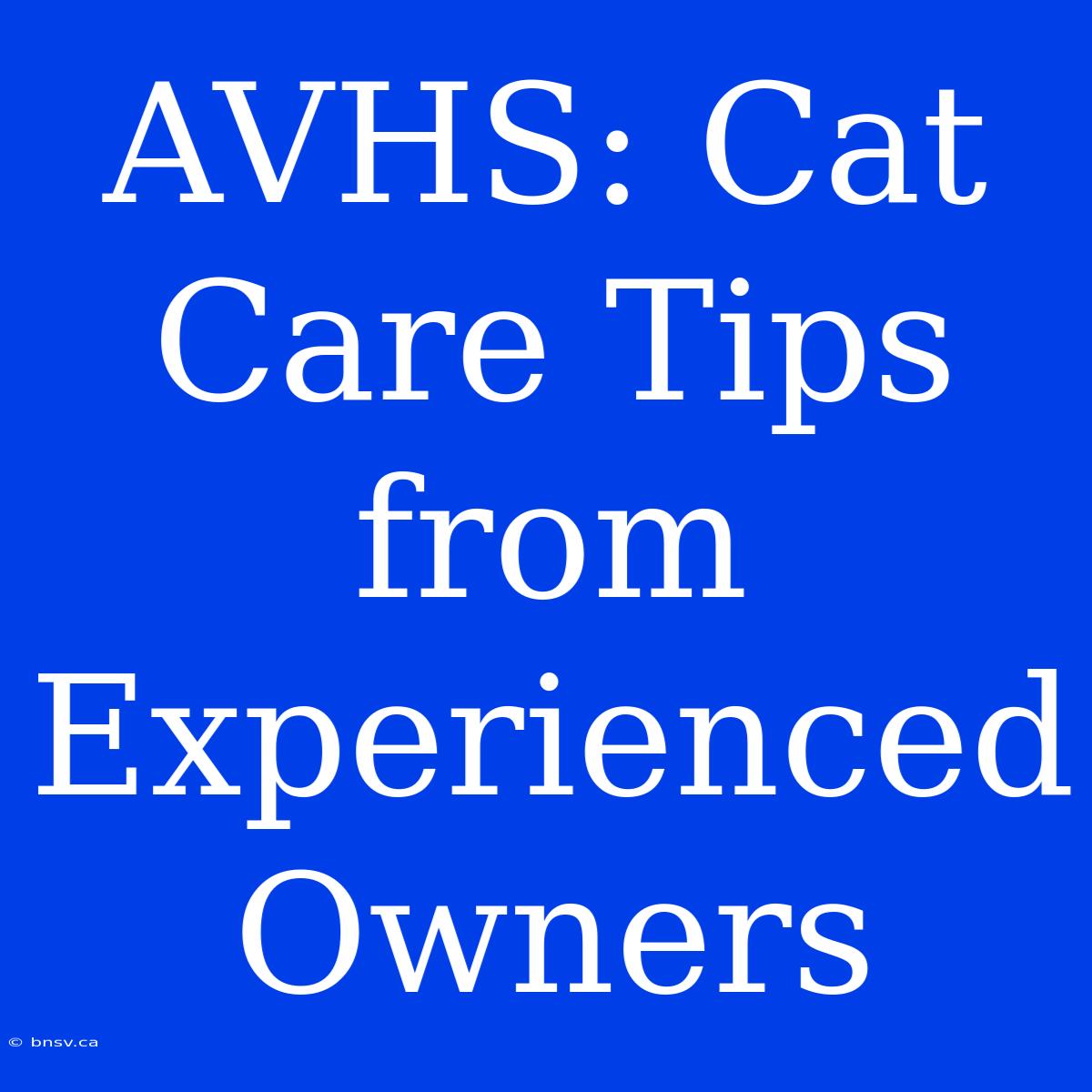 AVHS: Cat Care Tips From Experienced Owners