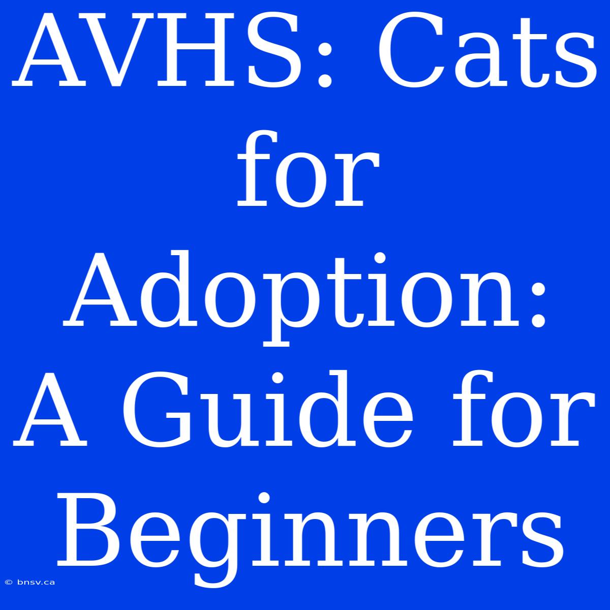 AVHS: Cats For Adoption: A Guide For Beginners