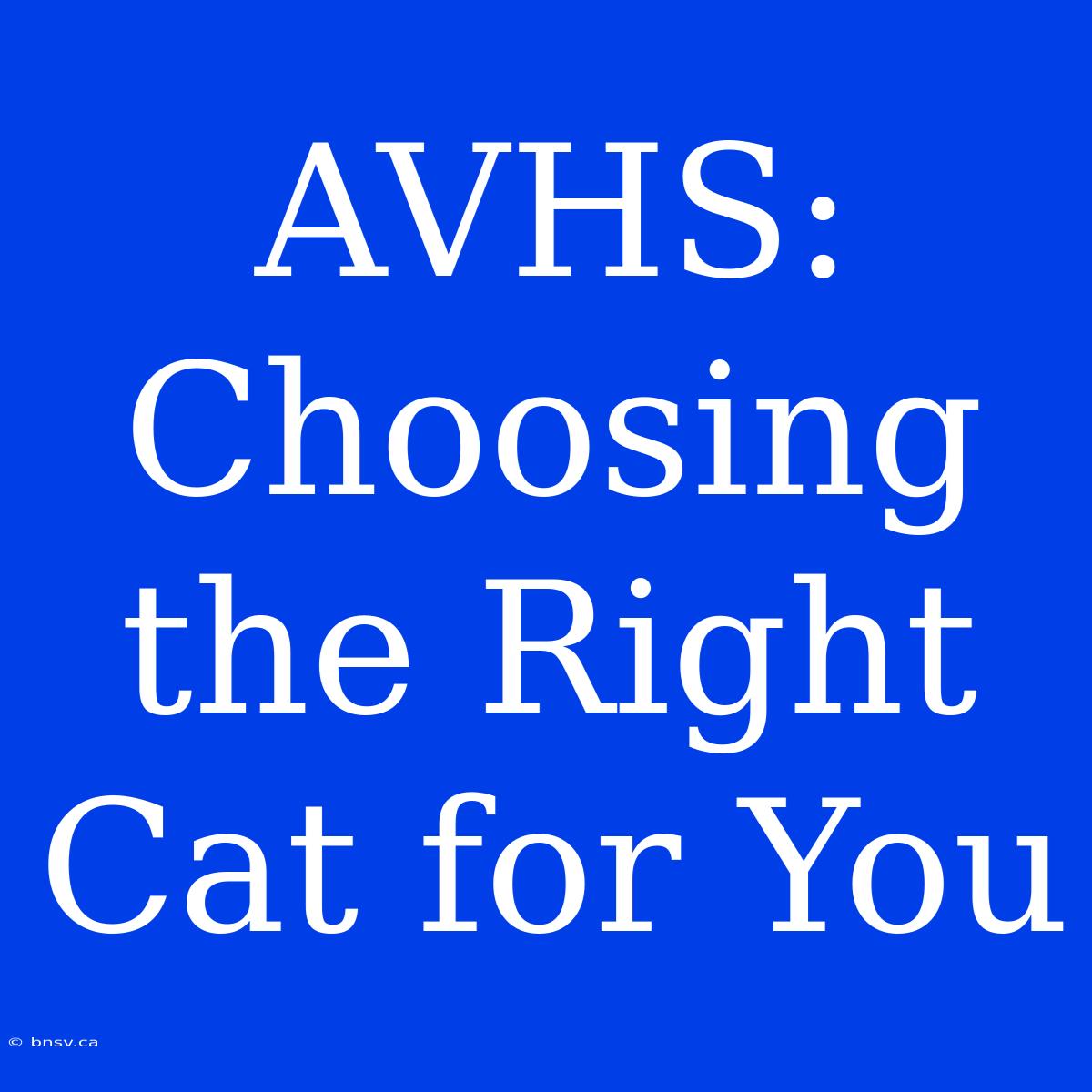 AVHS: Choosing The Right Cat For You