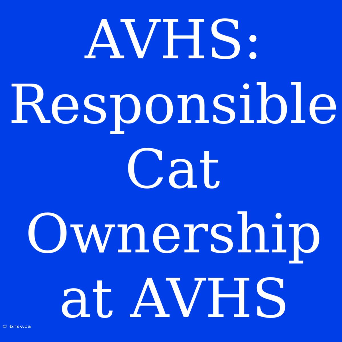 AVHS: Responsible Cat Ownership At AVHS