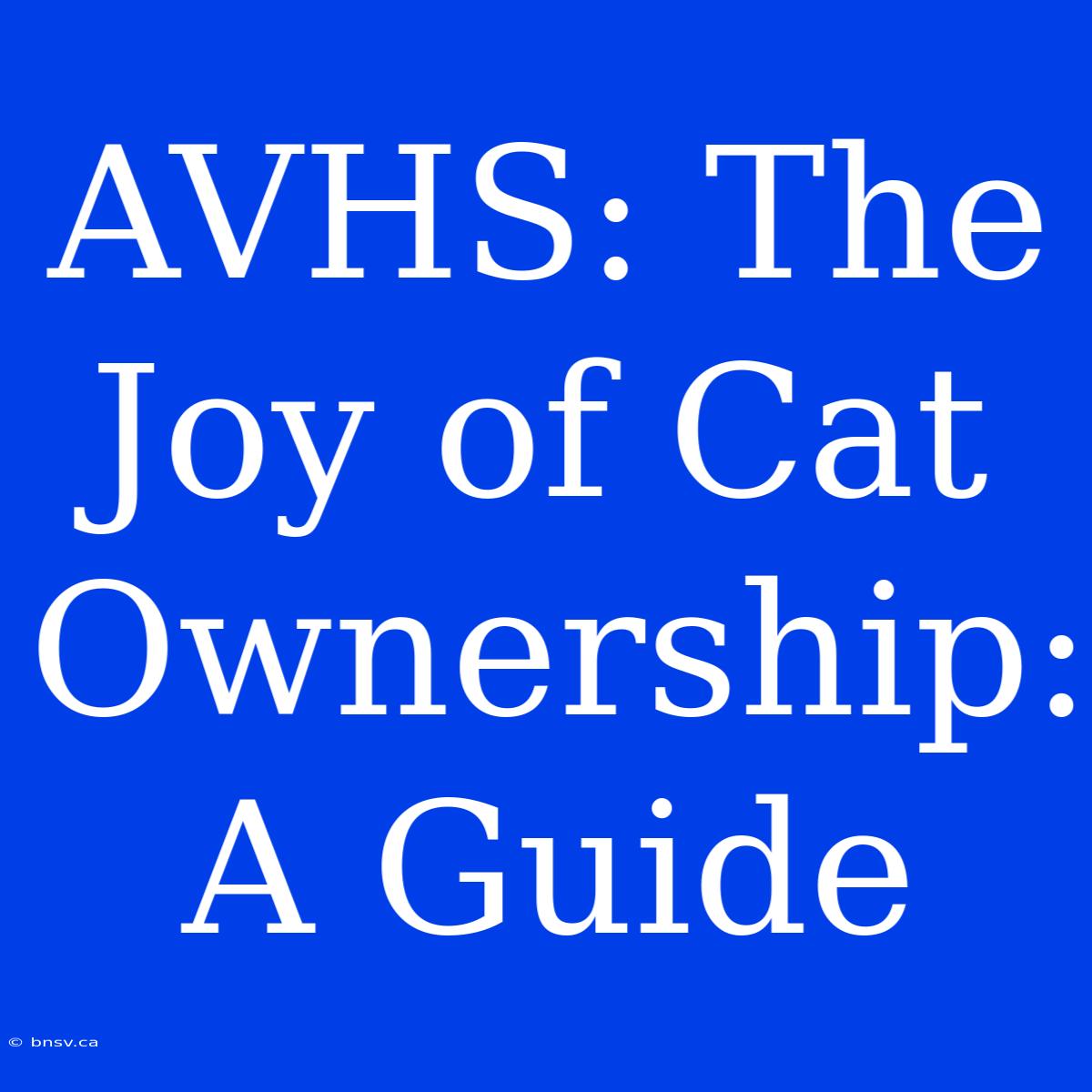 AVHS: The Joy Of Cat Ownership: A Guide