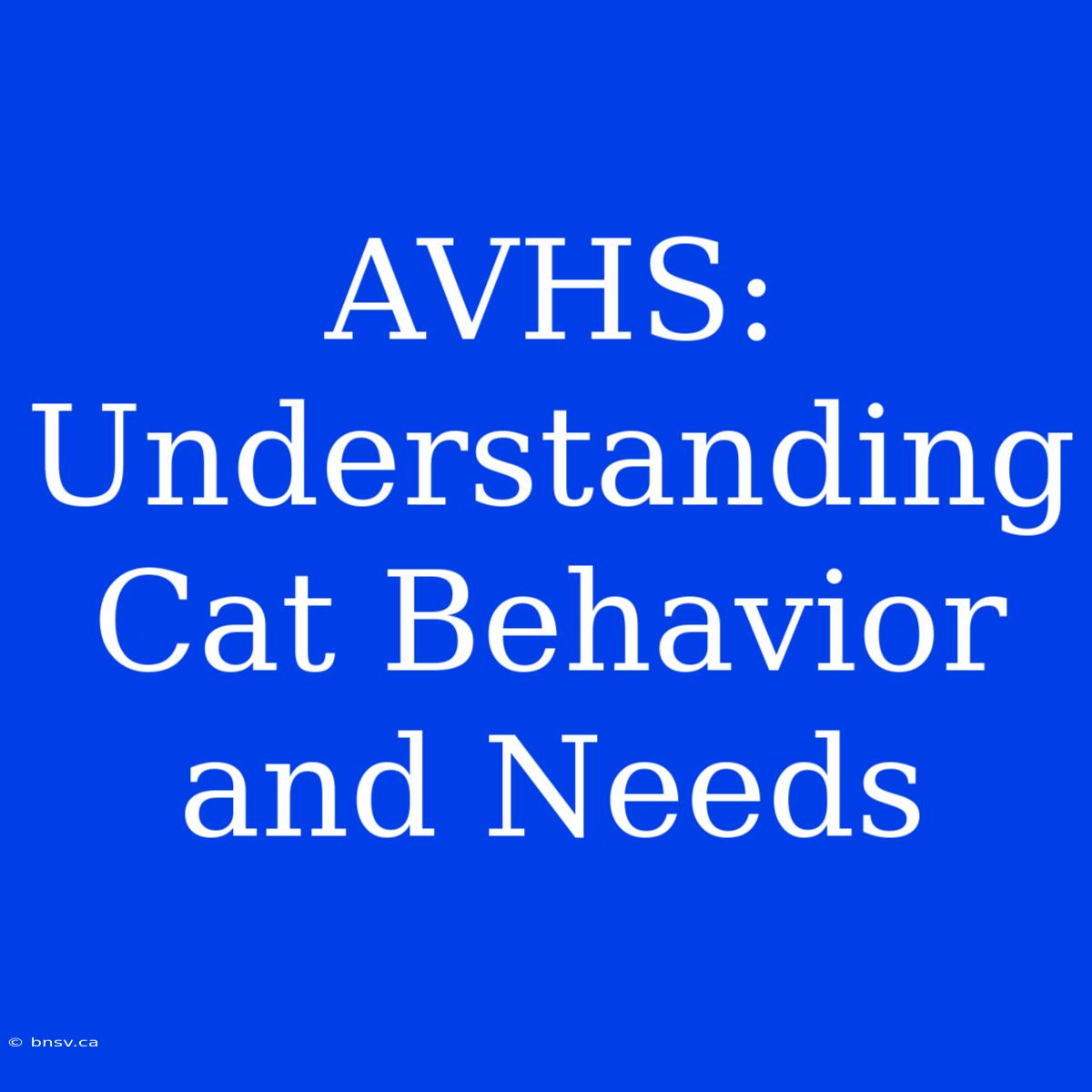 AVHS: Understanding Cat Behavior And Needs