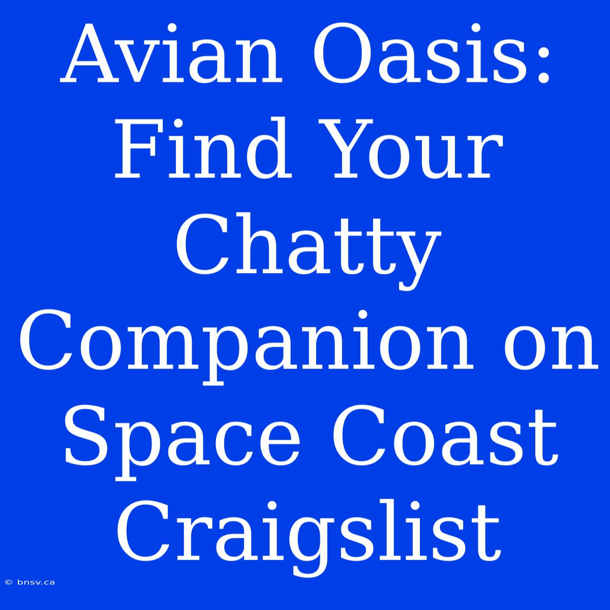 Avian Oasis: Find Your Chatty Companion On Space Coast Craigslist