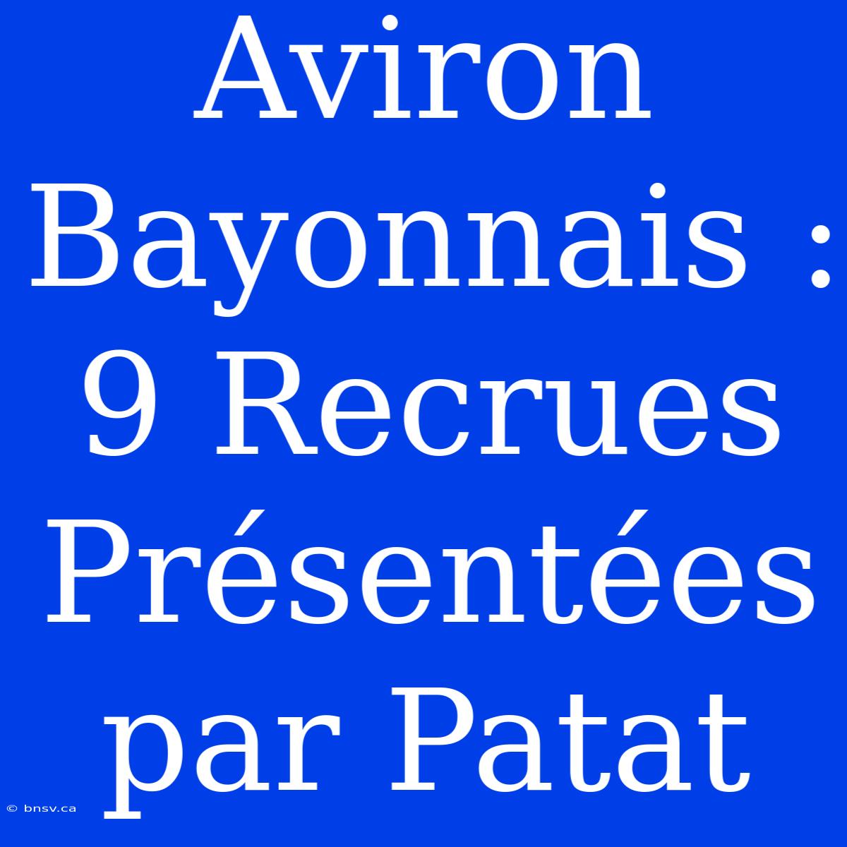 Aviron Bayonnais : 9 Recrues Présentées Par Patat