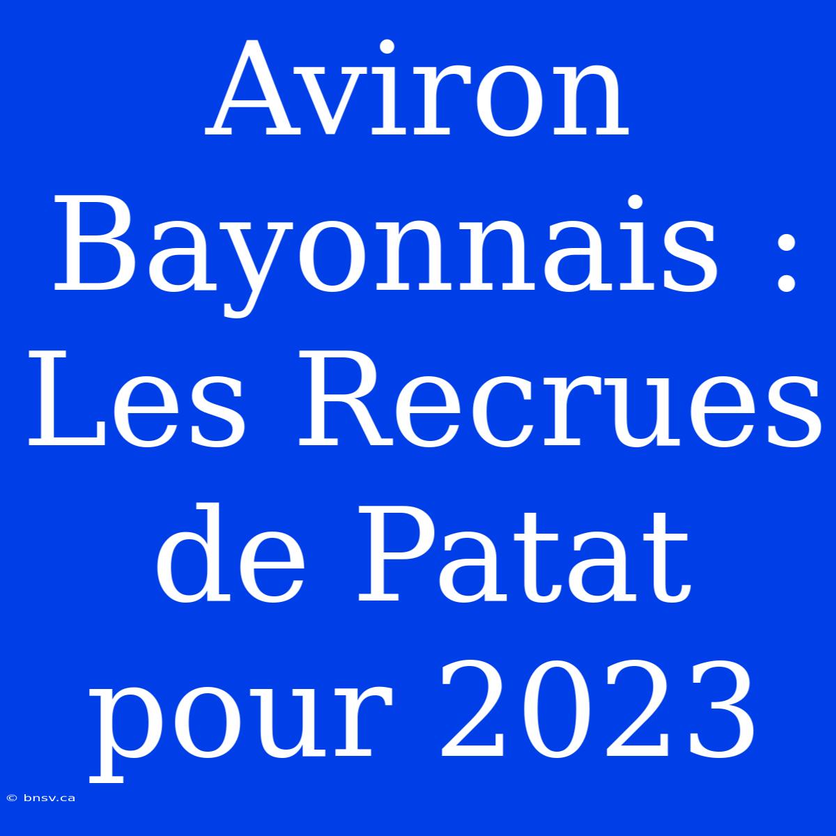 Aviron Bayonnais : Les Recrues De Patat Pour 2023