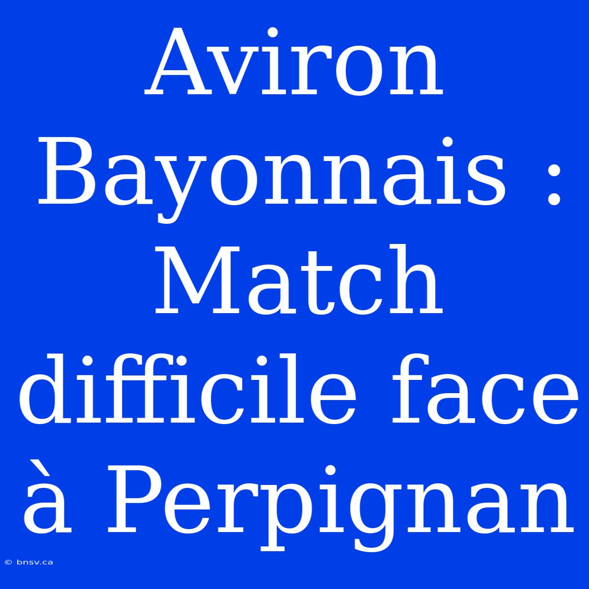 Aviron Bayonnais : Match Difficile Face À Perpignan