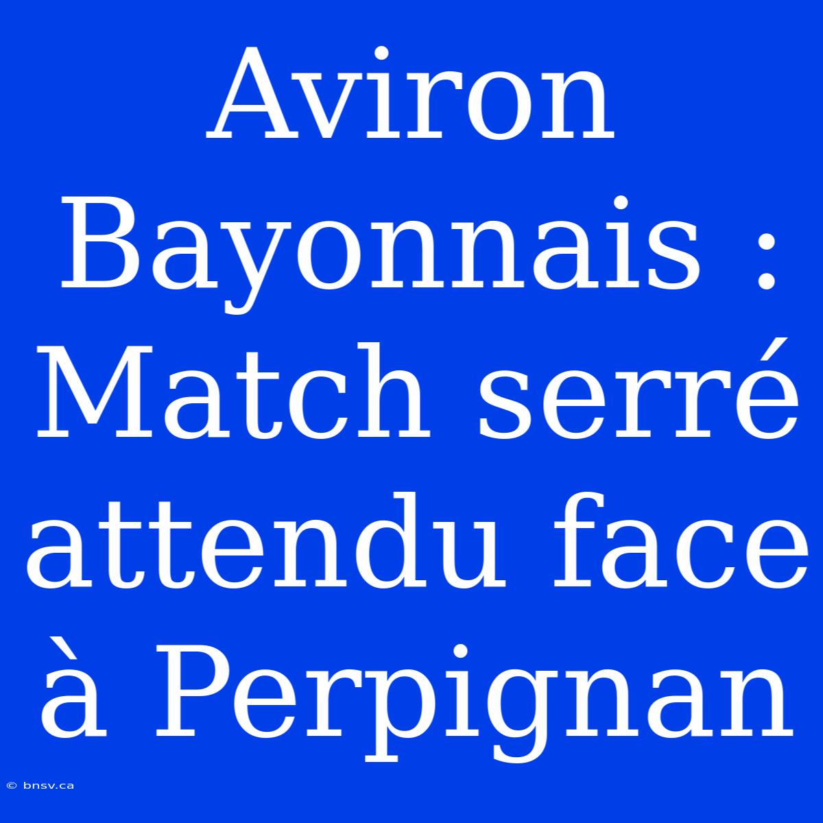 Aviron Bayonnais : Match Serré Attendu Face À Perpignan