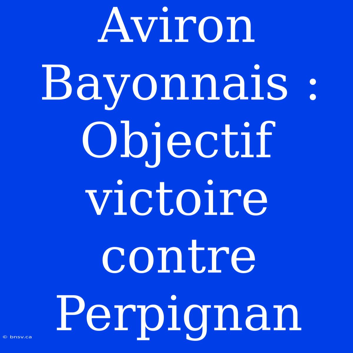 Aviron Bayonnais : Objectif Victoire Contre Perpignan