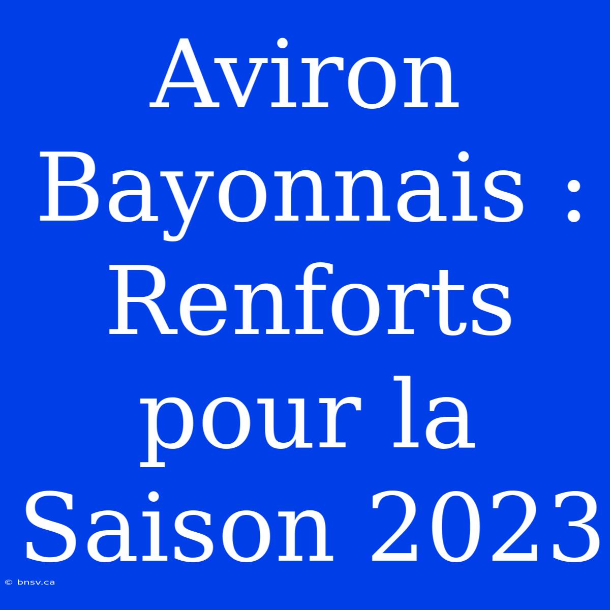 Aviron Bayonnais : Renforts Pour La Saison 2023