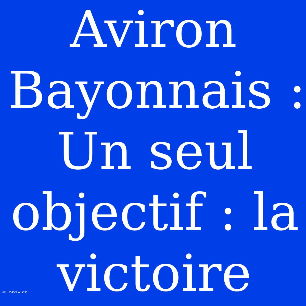 Aviron Bayonnais :  Un Seul Objectif : La Victoire