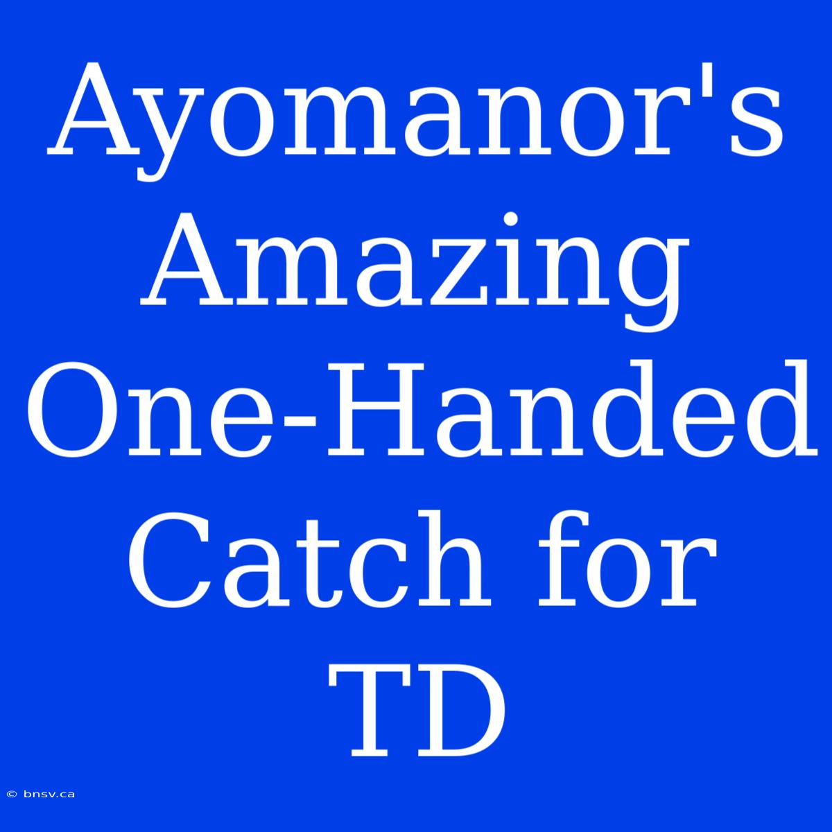 Ayomanor's Amazing One-Handed Catch For TD