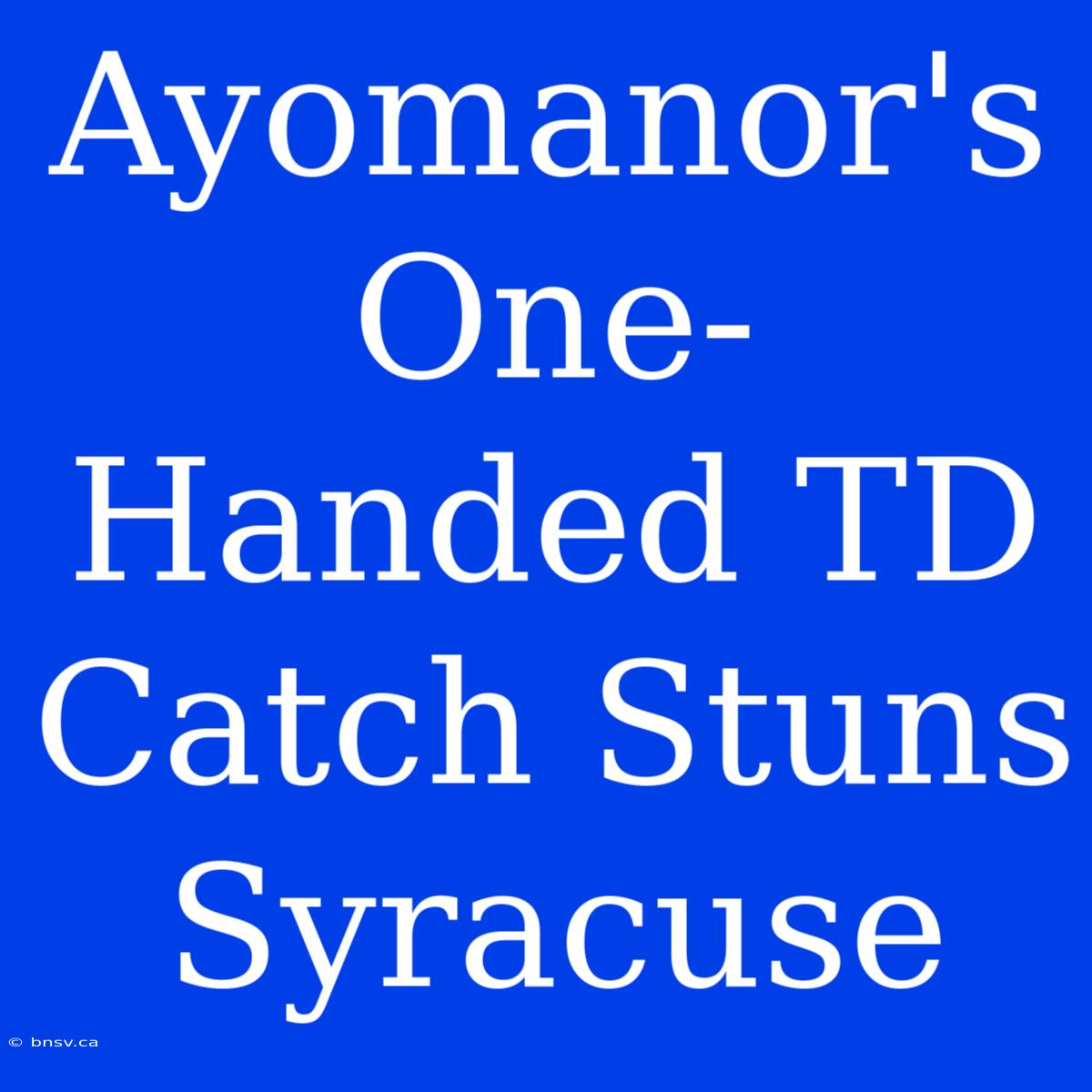 Ayomanor's One-Handed TD Catch Stuns Syracuse