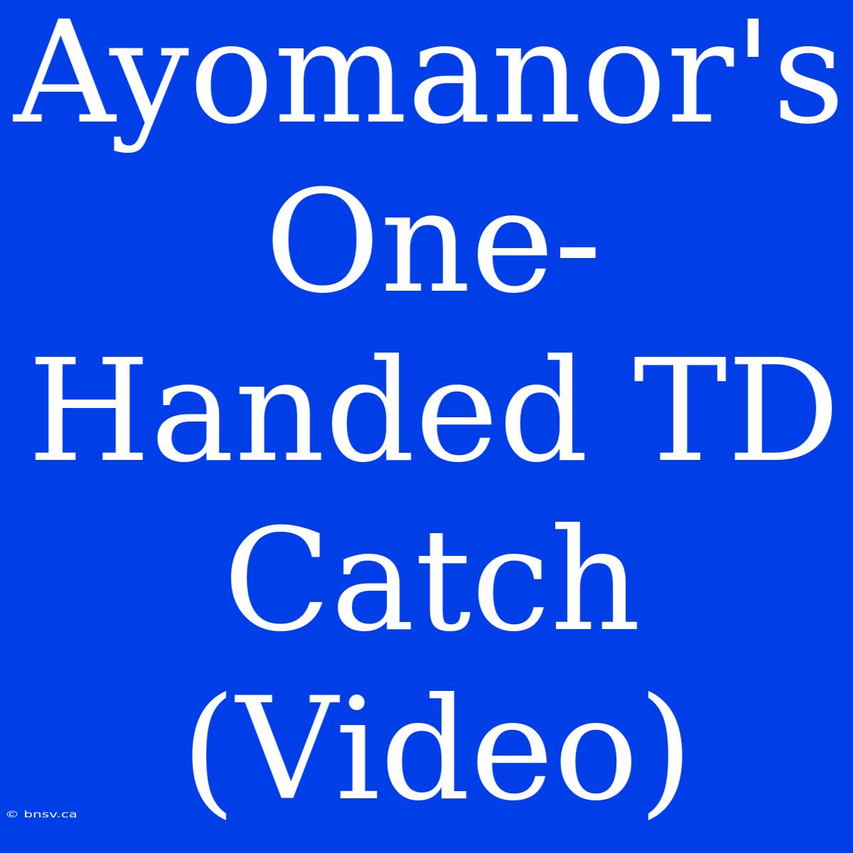 Ayomanor's One-Handed TD Catch (Video)