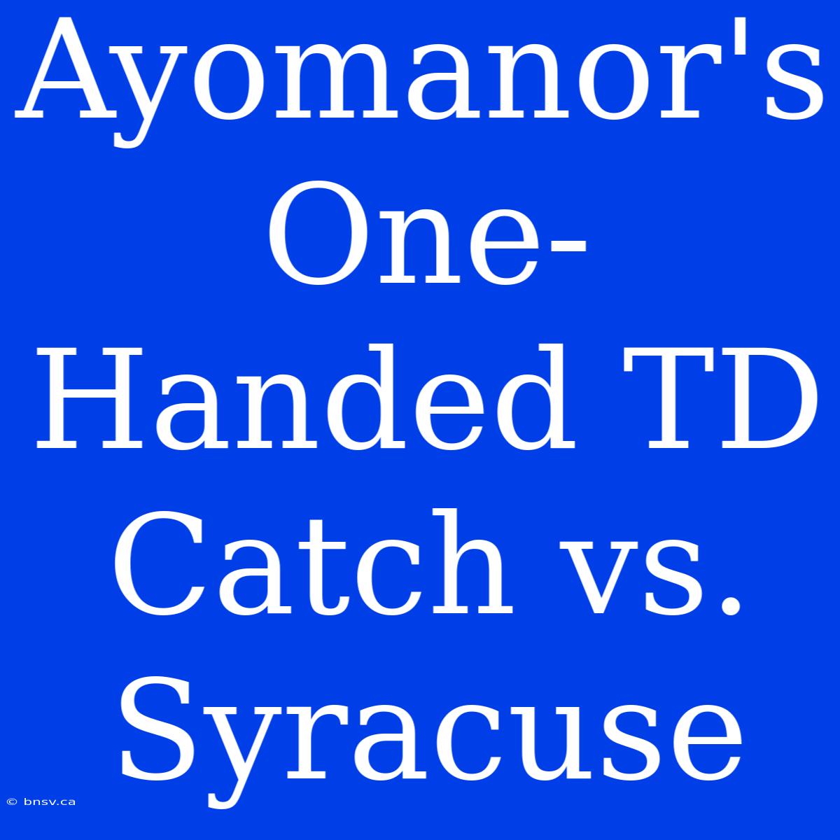 Ayomanor's One-Handed TD Catch Vs. Syracuse